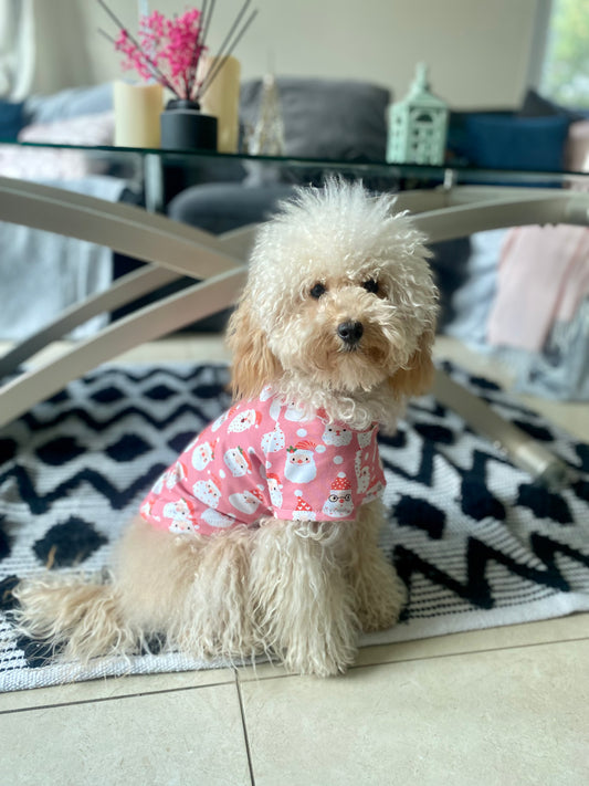 Santa Paws Dog t-shirt / Pyjamas