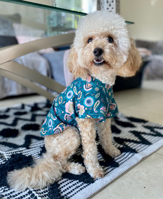 Green paisley Dog t-shirt / Pyjamas