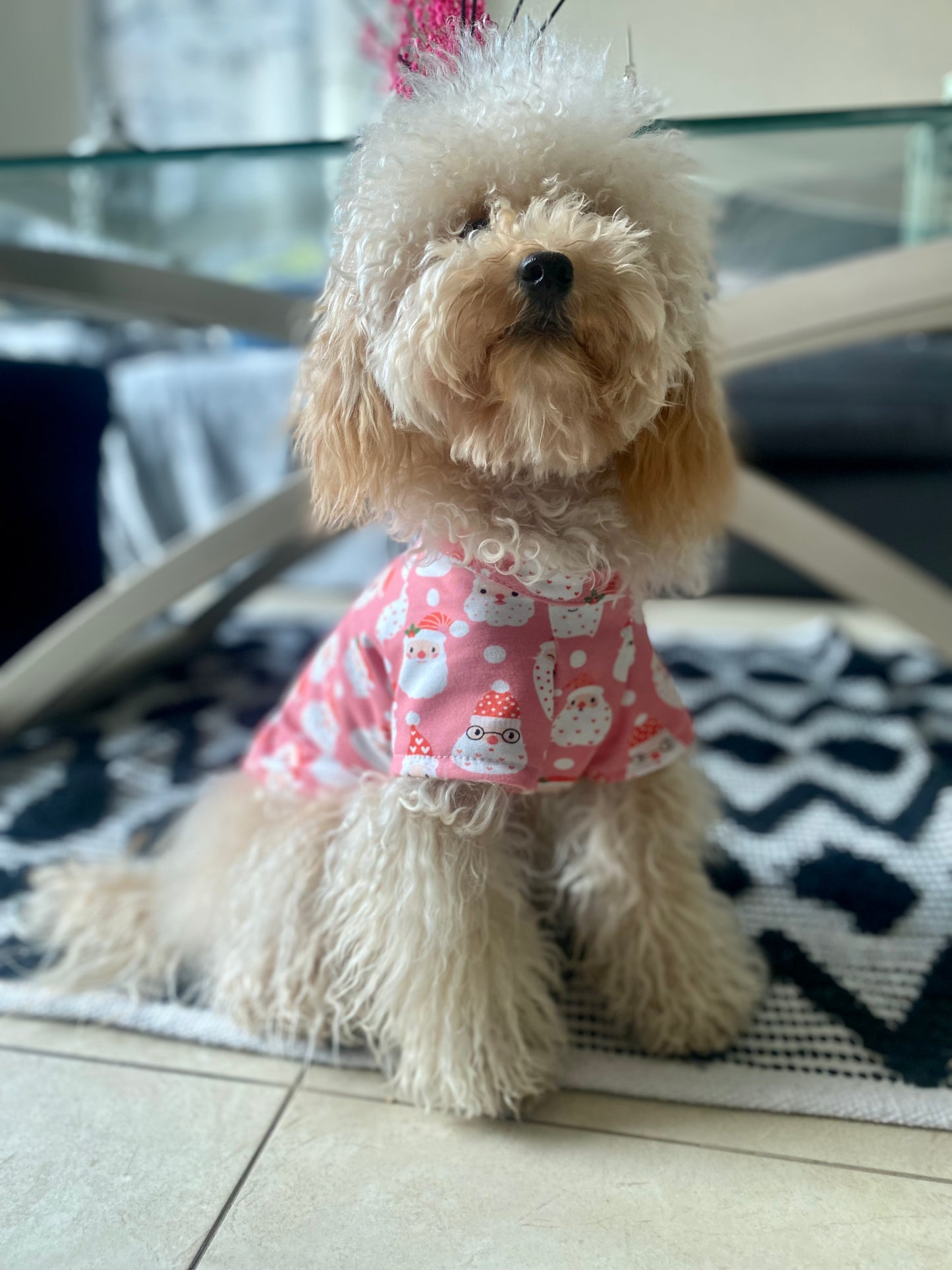 Santa Paws Dog t-shirt / Pyjamas